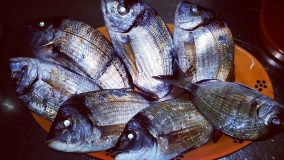 Club Number One ( Pub da Vasco )