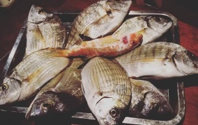 Club Number One ( Pub da Vasco )